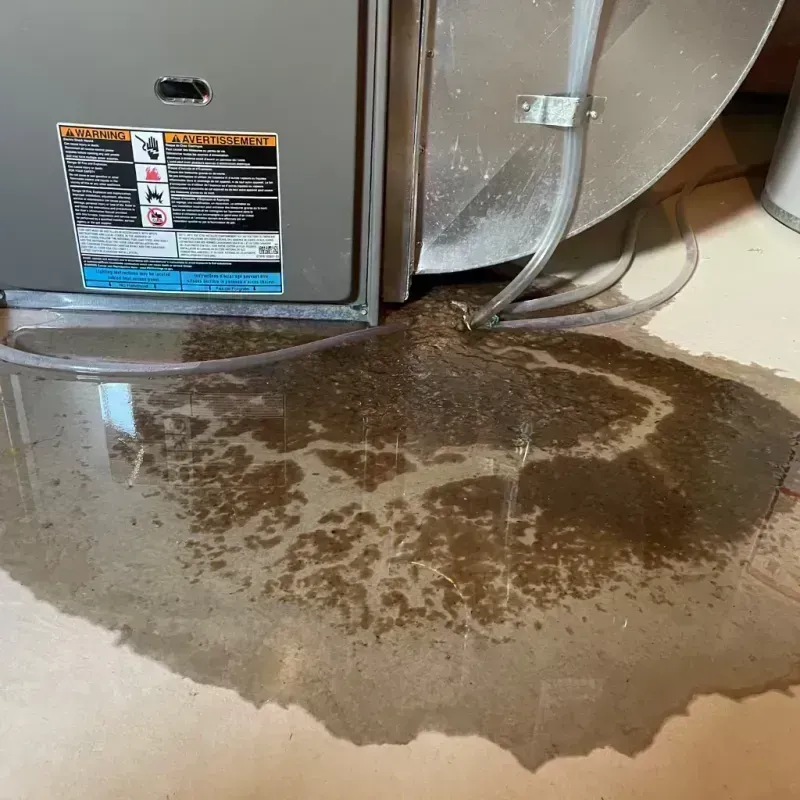 Appliance Leak Cleanup in Benton County, MO